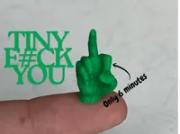 TINY F#CK YOU (with support)