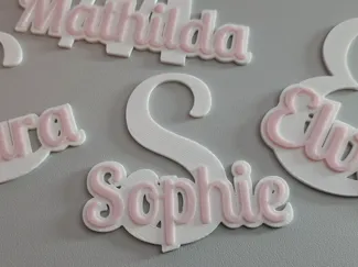 Name Tag and Sign Customizable
