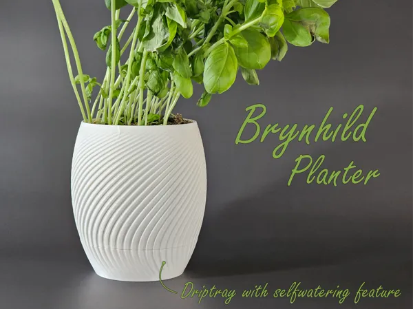 https://makerworld.bblmw.com/makerworld/model/US9ed64e65290220/design/2025-04-21_4bef8b15efdd.png