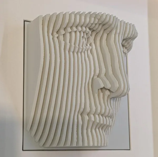 https://makerworld.bblmw.com/makerworld/model/US9ed8f50291743b/design/2024-06-20_b9f4bc4ae10dc.jpg