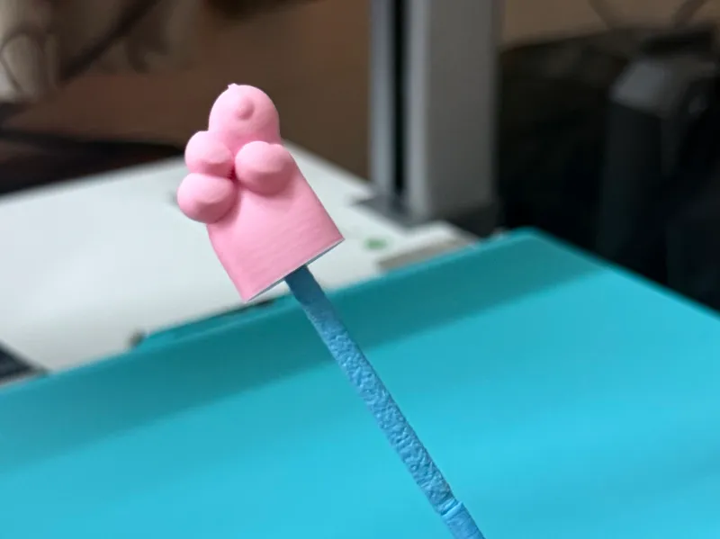 Cute Cat Paw Pointer