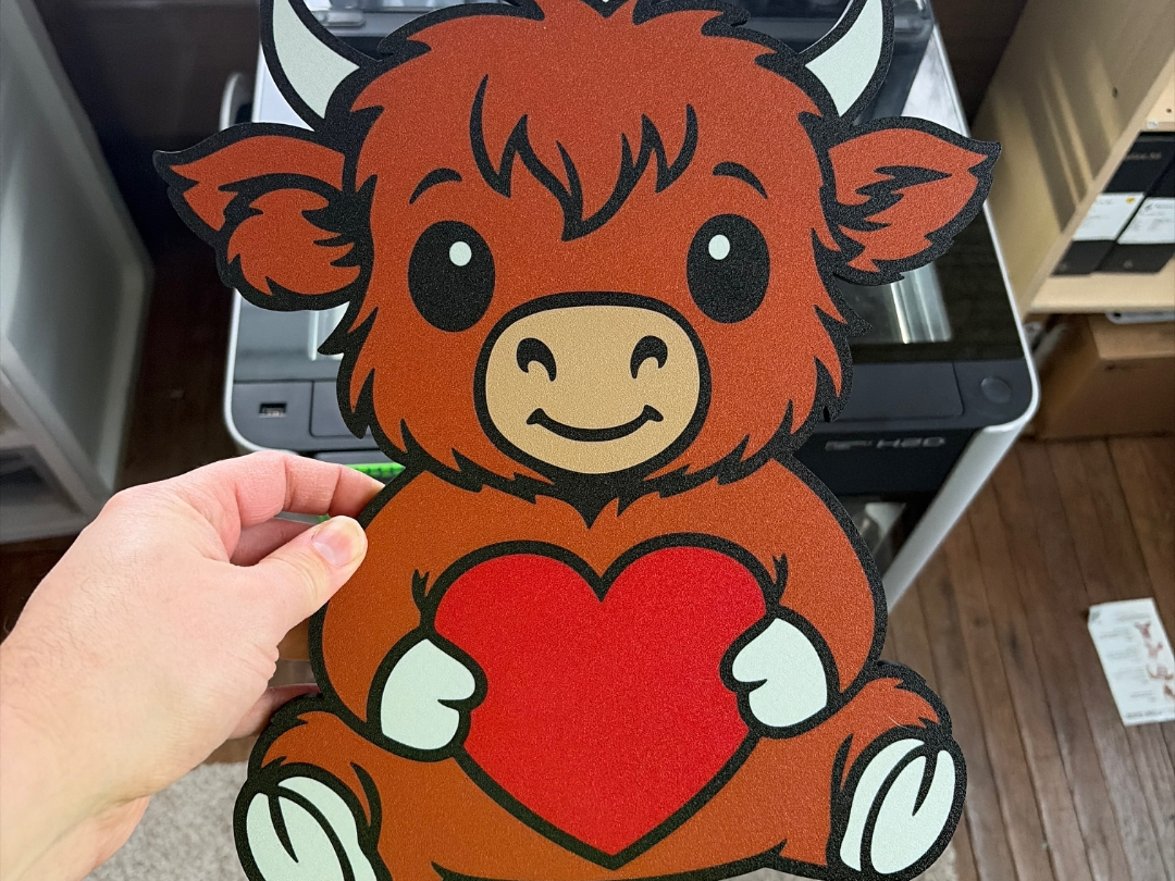 Valentine Highland Cow