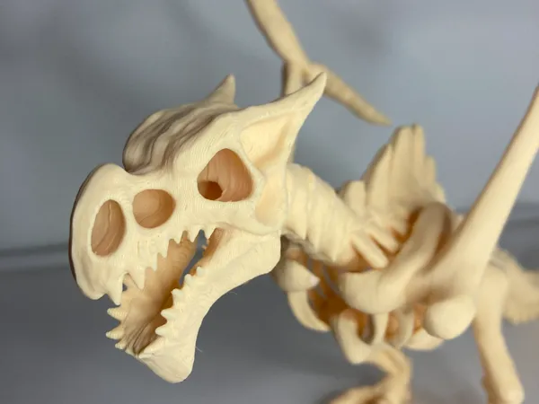 https://makerworld.bblmw.com/makerworld/model/US9edd55721bd8d9/design/2024-09-27_15dcac0300c35.jpeg