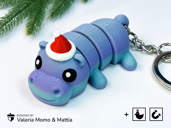 https://makerworld.bblmw.com/makerworld/model/US9ee58559cc524e/design/2024-11-22_e8fce0f712099.png