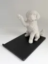 Two Color (AMS) - 0.2mm layer, 2 walls, 15% infill