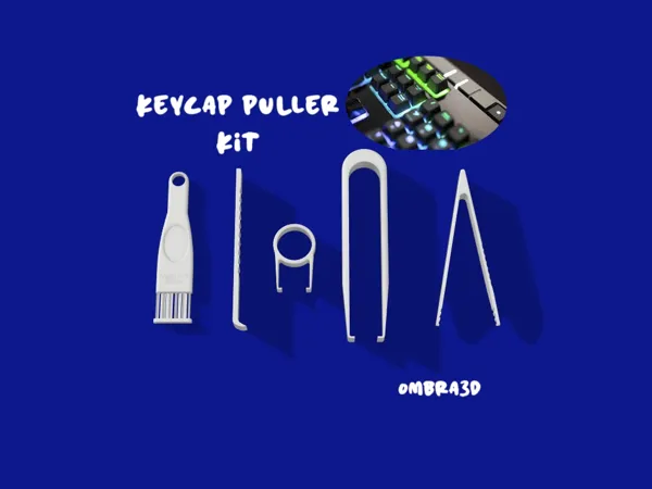 https://makerworld.bblmw.com/makerworld/model/US9eeaadfa8aaef4/design/2024-09-30_8fc25948a1b9b.jpg