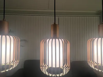 Lamp shade (Customizable)