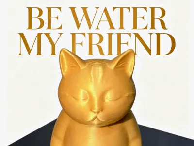 Be Water My Friend - Zen Meditating Cat