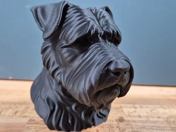 https://makerworld.bblmw.com/makerworld/model/US9ef503678c3617/design/2025-05-16_79c372f863b778.jpg