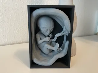 Book Nook "Ungeboren Extraterrestrial"