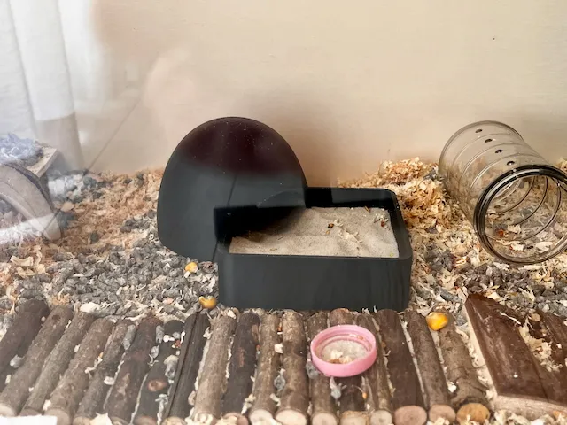 Hamster bath and home