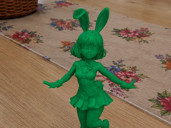 https://makerworld.bblmw.com/makerworld/model/US9f00c3b25fd6e8/design/e787c2609c107743.png