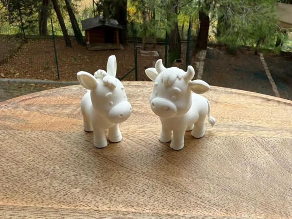 https://makerworld.bblmw.com/makerworld/model/US9f089b376dee84/design/2025-11-21_a23a62208d65b8.jpg