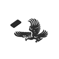 Aigle majestueux — photo 3