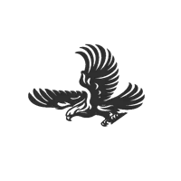 Aigle majestueux — photo 5