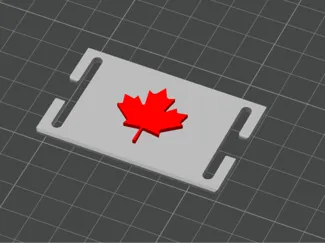 Canadian Molle Patch