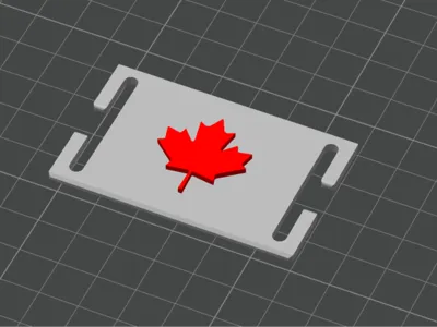 Canadian Molle Patch