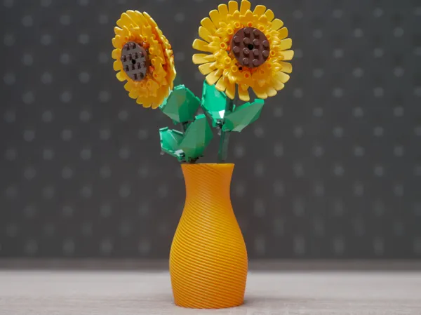 https://makerworld.bblmw.com/makerworld/model/US9f0d2292918e40/design/2025-01-06_26ccdba35fda7.jpg