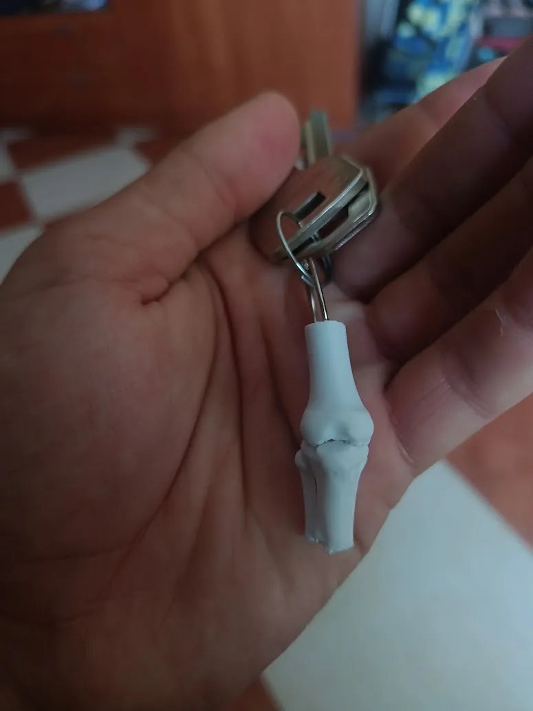 Anatomical Knee Bone Keychain & Model - Free 3D Print Model - MakerWorld