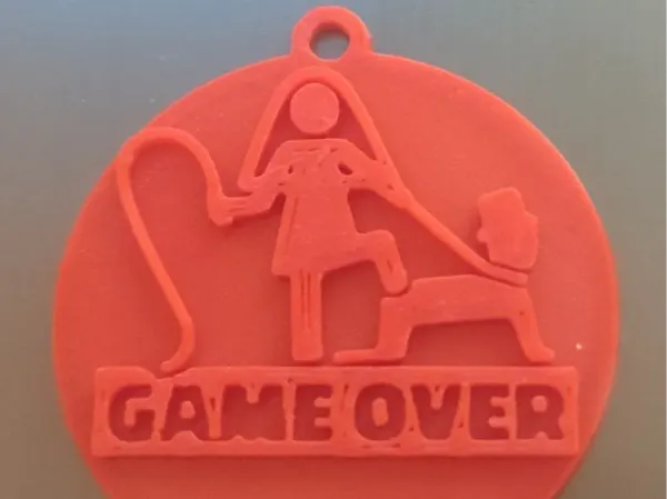 https://makerworld.bblmw.com/makerworld/model/US9f0fc6d3c7fb9/design/2025-02-09_eddb999ebff158.webp