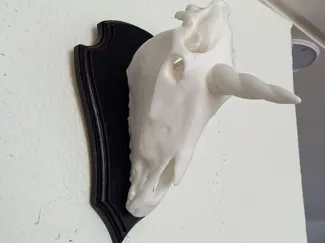Unicorn hunting trophy