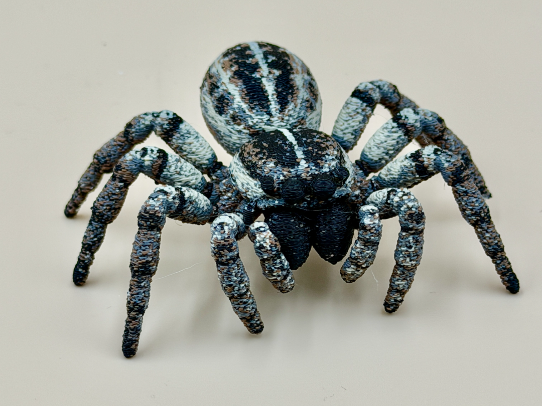 Eight-Legged Jumping Spider - 1
