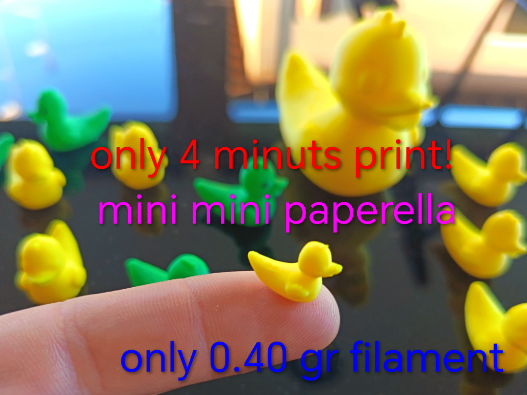 La piu piccola paperella di sempre DAVVERO!