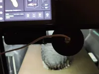 0.2mm 层高, 5 层墙, 20% 填充
