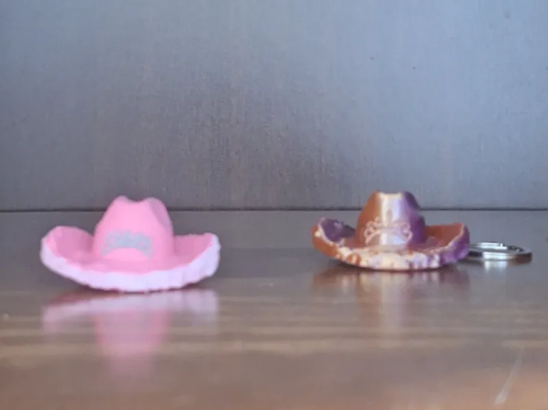 Chapeu-Boiadeira