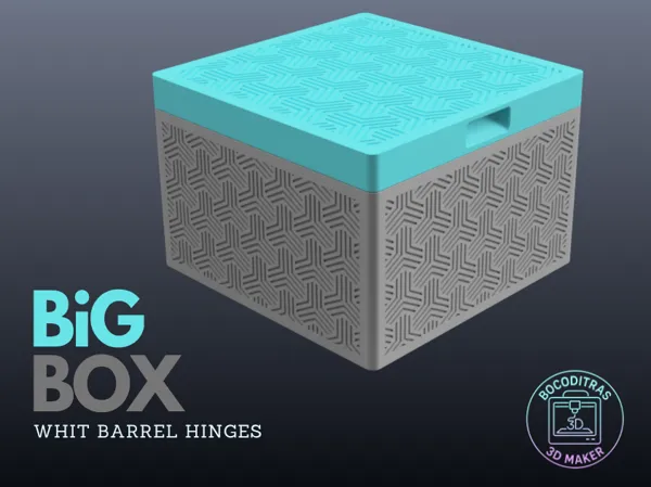 https://makerworld.bblmw.com/makerworld/model/US9f2032a1359fac/design/2025-06-27_24758a7fc5e33.png