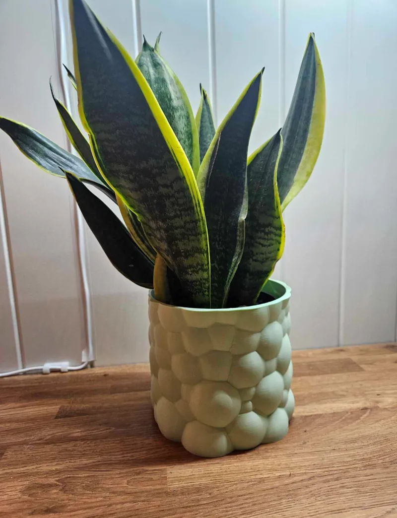 Funky Plant Pot – Designed by PP!  13 cm