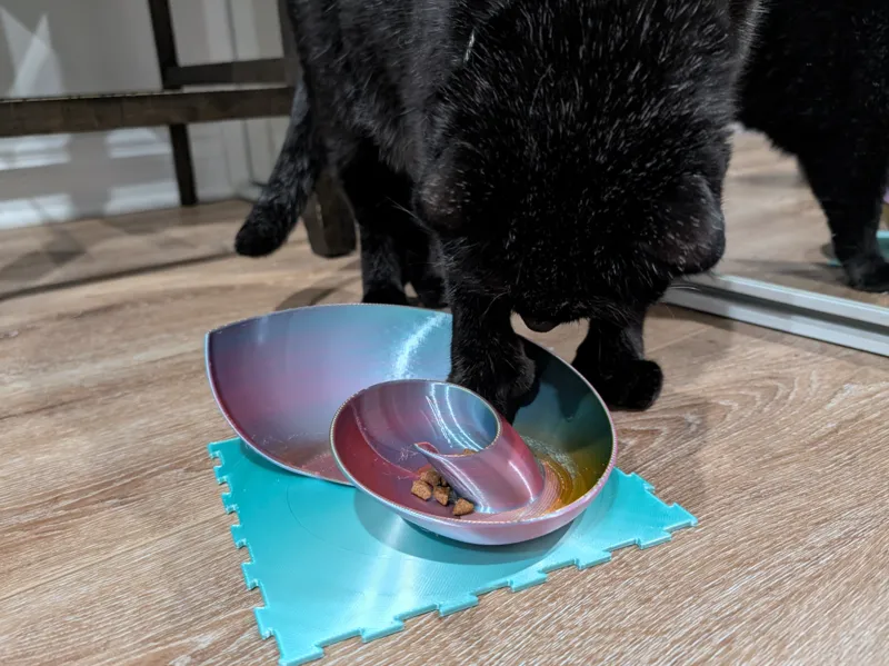 Curious Paws- Nautilus Puzzle