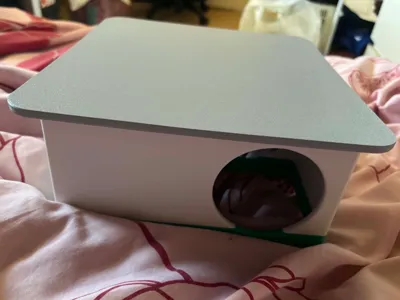 4 Chamber Hamster Multi-hide with stilts