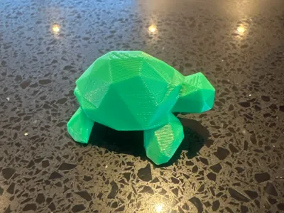Turtles 
