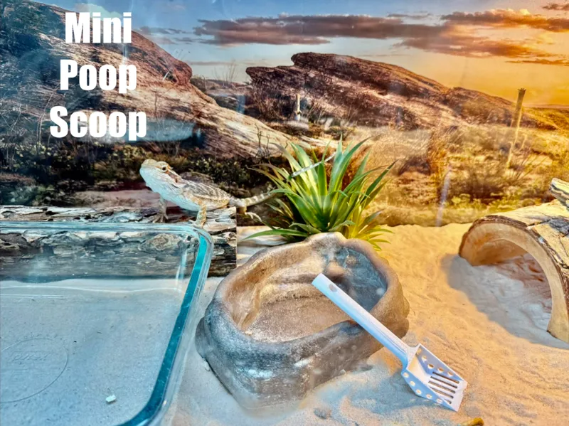 Mini Bearded Dragon Poop Scoop
