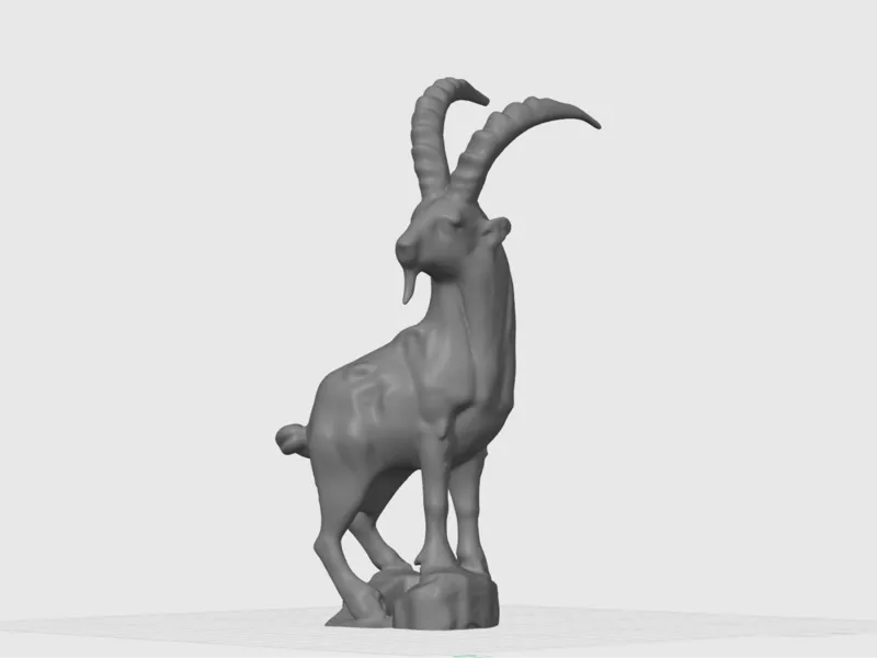 Goat standing on rock