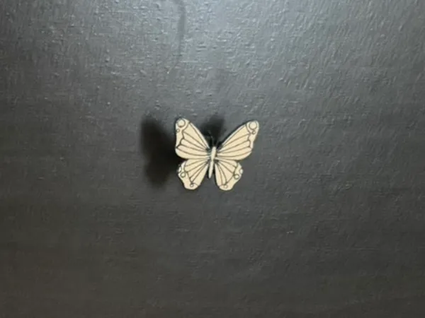 https://makerworld.bblmw.com/makerworld/model/US9f32eeaf6606e1/design/2025-04-21_8093350c7af0e.jpeg