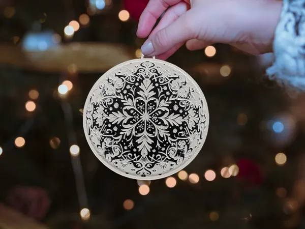 https://makerworld.bblmw.com/makerworld/model/US9f3364ab0a0afe/design/2024-12-09_7d443d070c3788.png
