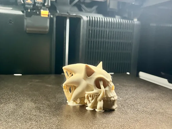 https://makerworld.bblmw.com/makerworld/model/US9f33da9d970c34/design/2025-07-03_f1df90788f9f6.jpeg