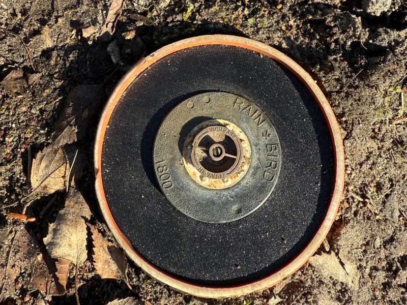 Rainbird Schutz Versenkregner 1800