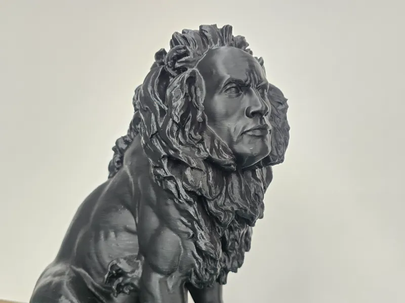 The Rock Lion