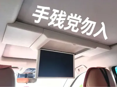 Panoramic sunroof entertainment screen