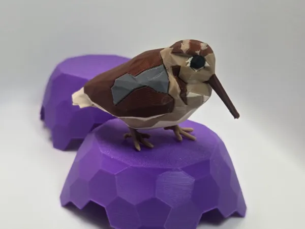 https://makerworld.bblmw.com/makerworld/model/US9f428a079f630b/design/13801a9b9aebe298.jpg