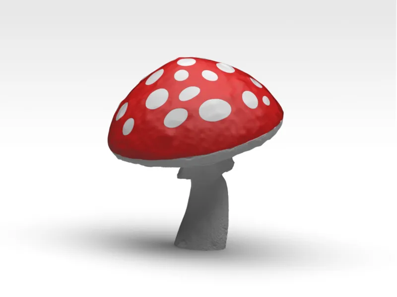 double color mushroom - Fungo doppio colore
