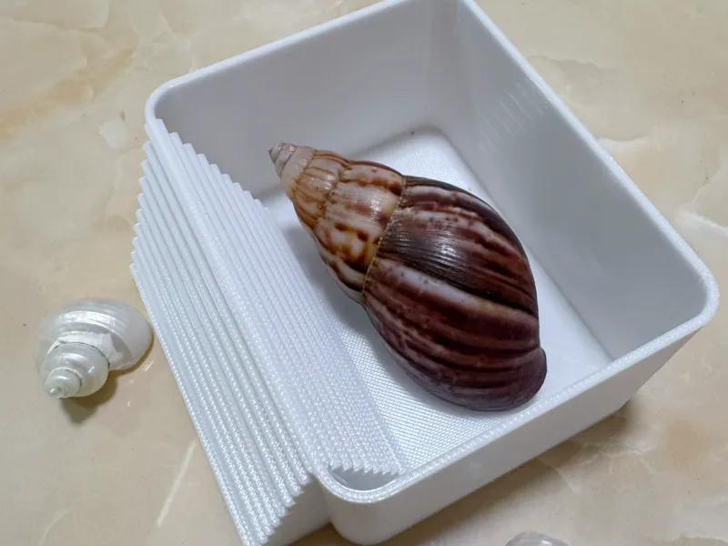 寄居蟹泡澡池
