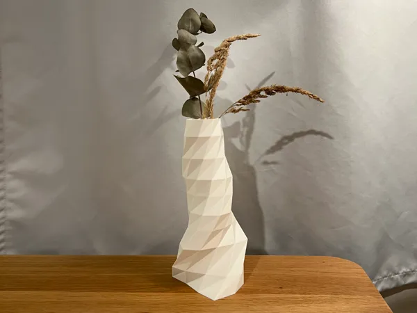 https://makerworld.bblmw.com/makerworld/model/US9f4dc5921d7b8d/design/2024-12-08_cfefa22747bb.jpg