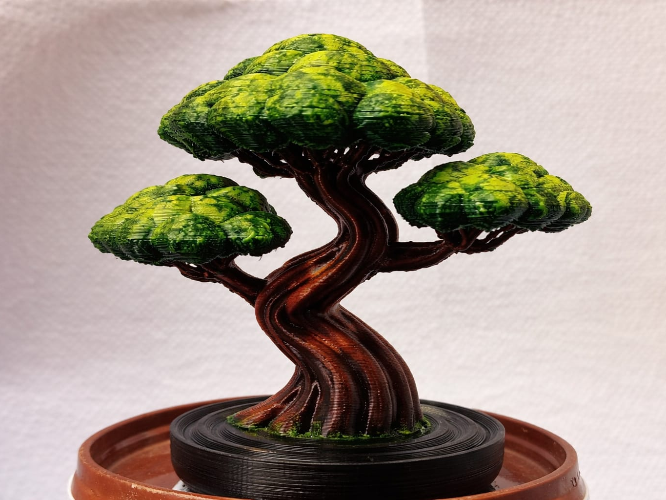 Bonsai Artistico Stampato in 3D