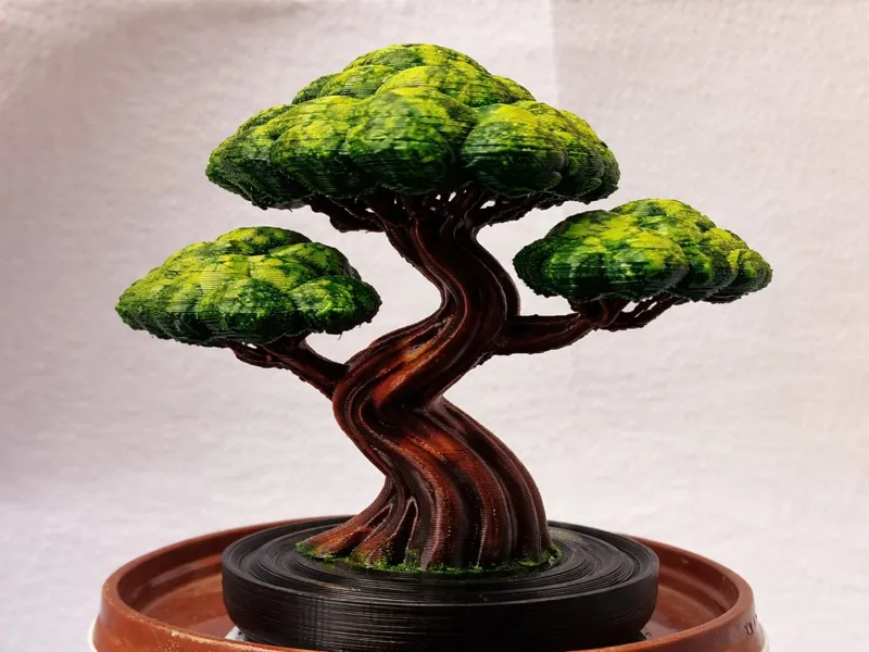 Bonsai Artistico Stampato in 3D