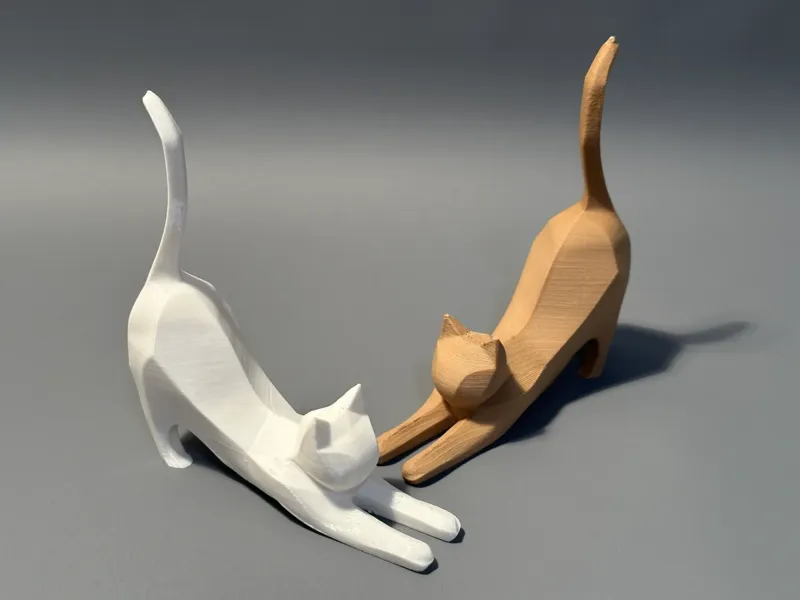 cat 猫