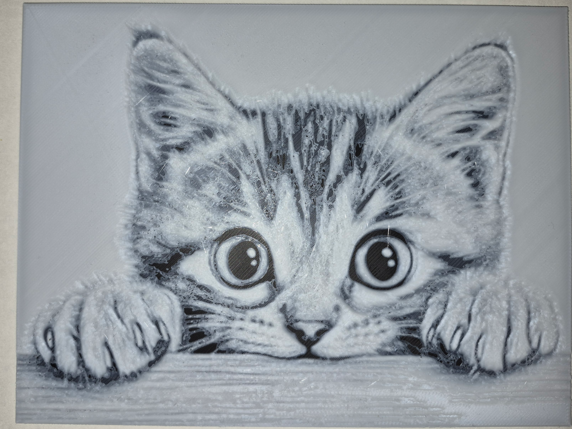Curious Peeking Kitten